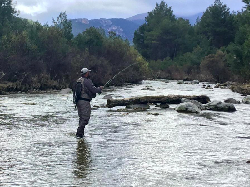 Publicada la orden de vedas que regula la pesca en los tres cotos intensivos del río Júcar - imagen 1