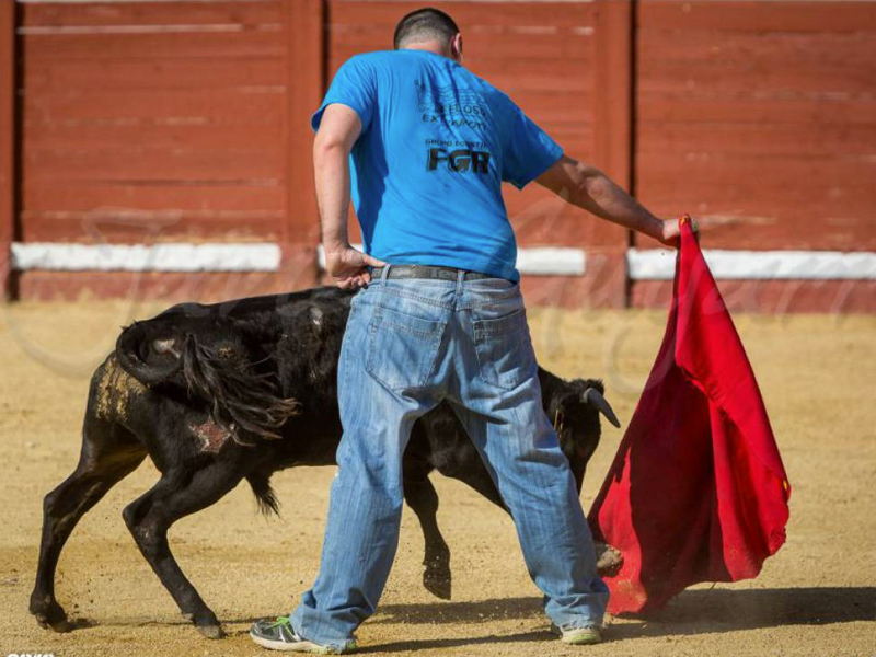 Los insultos provocan la retirada de la encuesta sobre los toros en Motilla - imagen 1