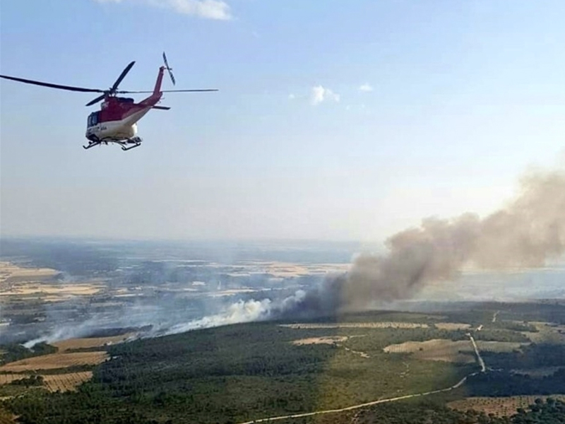 Incendio picazo
