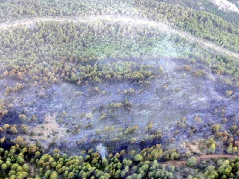 Estabilizado el incendio de la Serranía de Cuenca, que pudo originar un rayo - imagen 1