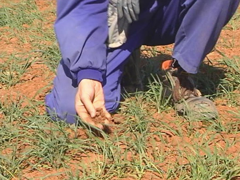 Castilla-La Mancha, segunda región más afectada por la sequía - imagen 1