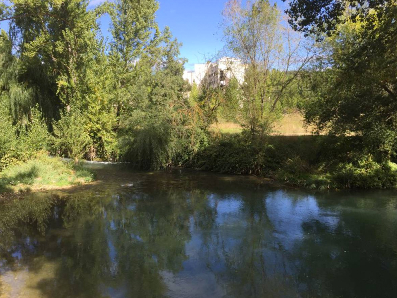 El Júcar a su paso por la capital conquense no es apto para el baño por seguridad - imagen 1