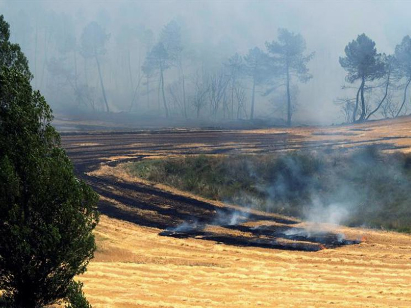 Incendiiio