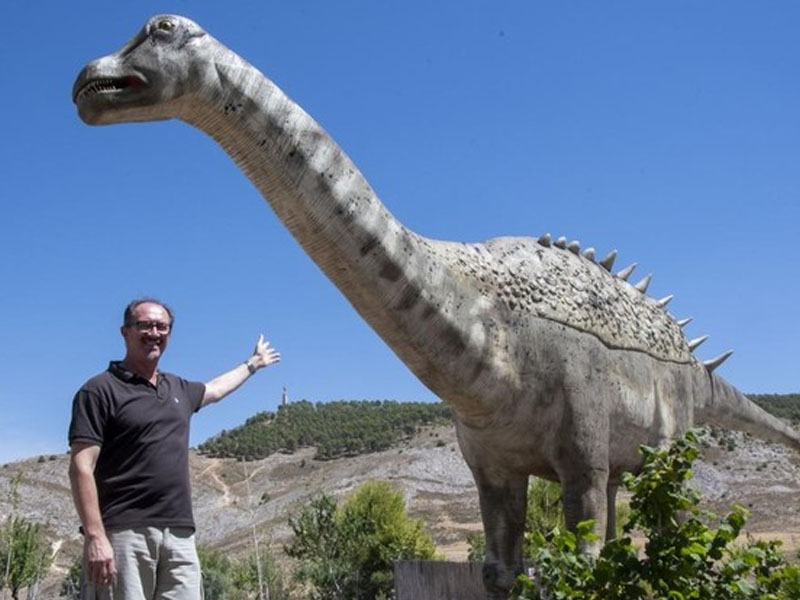 Los nuevos huéspedes del MUPA - imagen 1