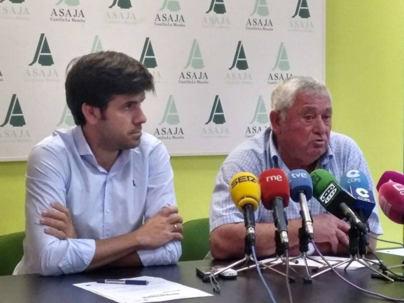 ASAJA Castilla-La Mancha pide legislación y penas más duras para garantizar la calidad del vino - imagen 1