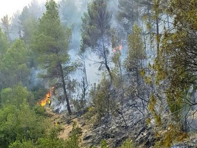 Castilla-La Mancha ha registrado más de 700 incendios en la presente campaña - imagen 1