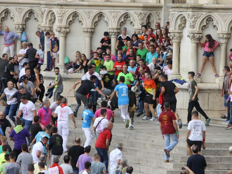 Ocho heridos leves, dos de ellos por varetazos de la vaca, en la segunda jornada de San Mateo - imagen 1