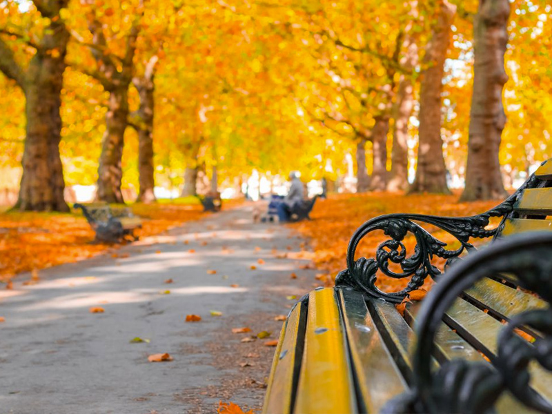 Así será el otoño en Castilla-La Mancha, según AEMET: más cálido y con más DANA - imagen 1