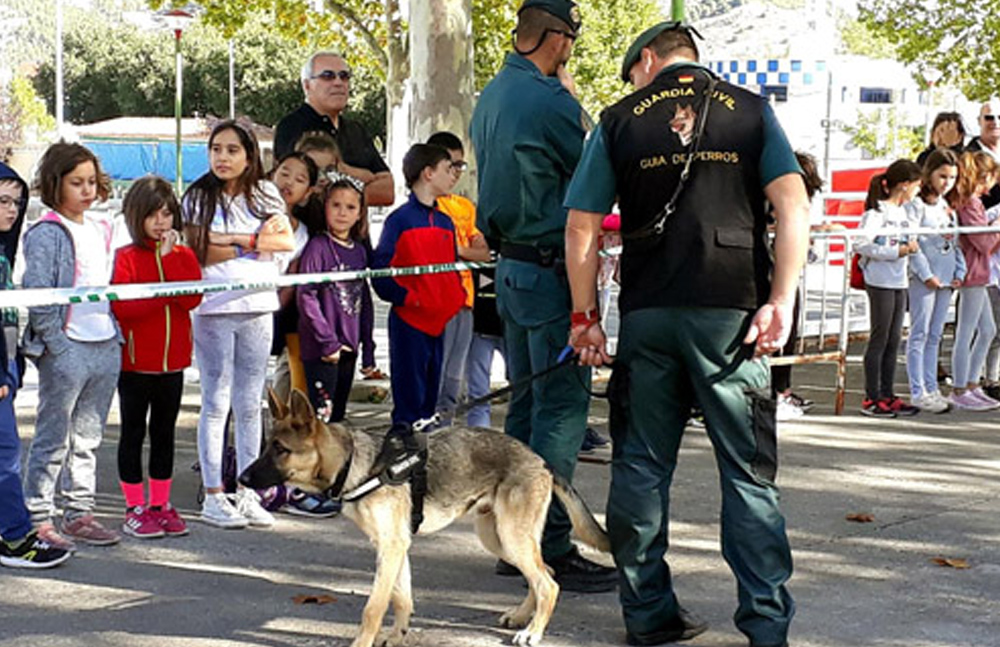 Casi 500 escolares asisten a los actos por el 175º aniversario de la Guardia Civil - imagen 1