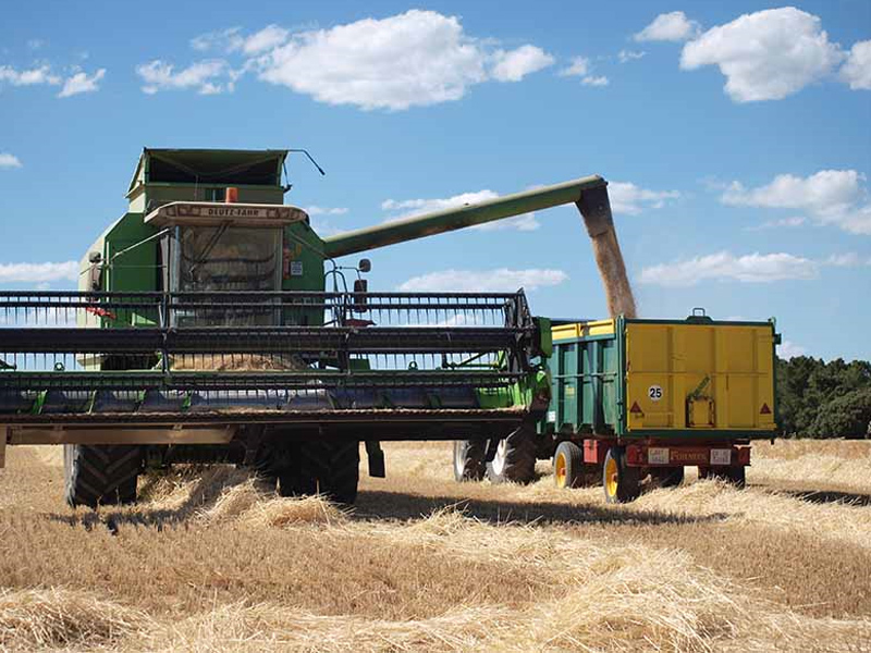 El Gobierno regional inicia el pago de más de 72 millones de euros de la PAC en la provincia de Cuenca - imagen 1