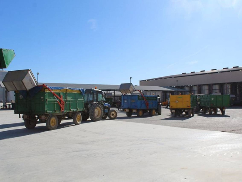 61 millones de kilos de uva recolectados en la Bodega San Isidro de Quintanar - imagen 1