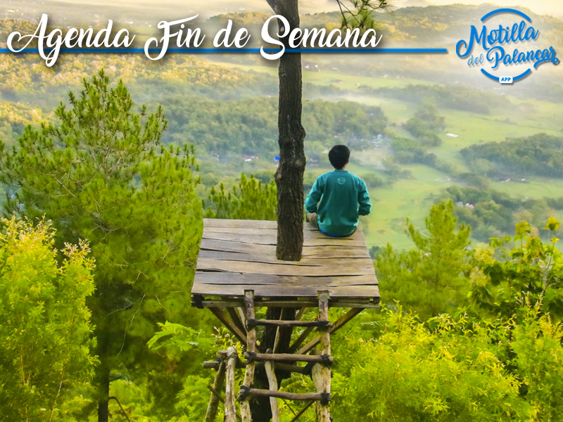 Agenda fin de semana | 1, 2 y 3 de Noviembre - imagen 1