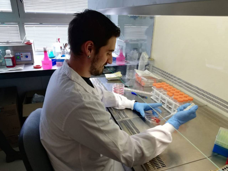 Diego Fernández recibe una beca de la Asociación Junta Local contra el Cáncer. - imagen 1