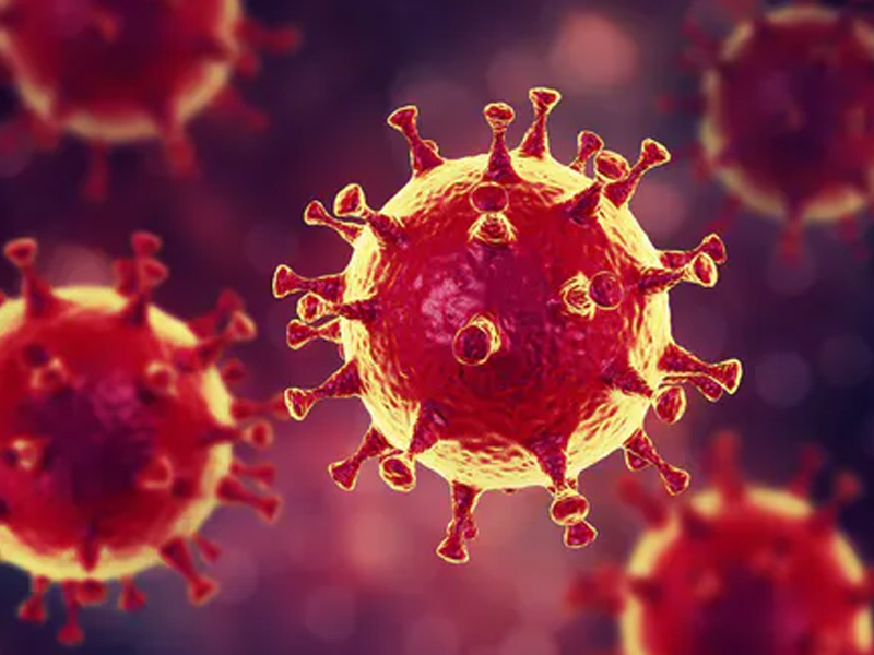 El resultado de los cinco casos investigados en C-LM da negativo - imagen 1