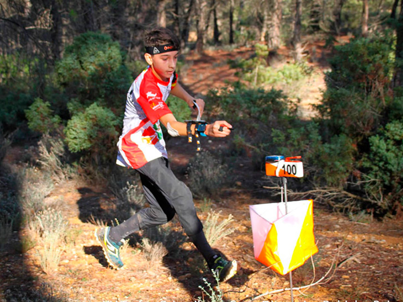 400 orientadores se darán cita en Villa de Ves - imagen 1