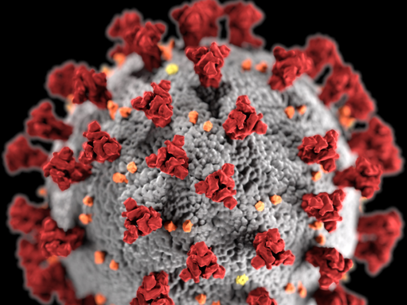 Por primera vez desde el 17 de marzo no se registran muertes por coronavirus en Cuenca - imagen 1