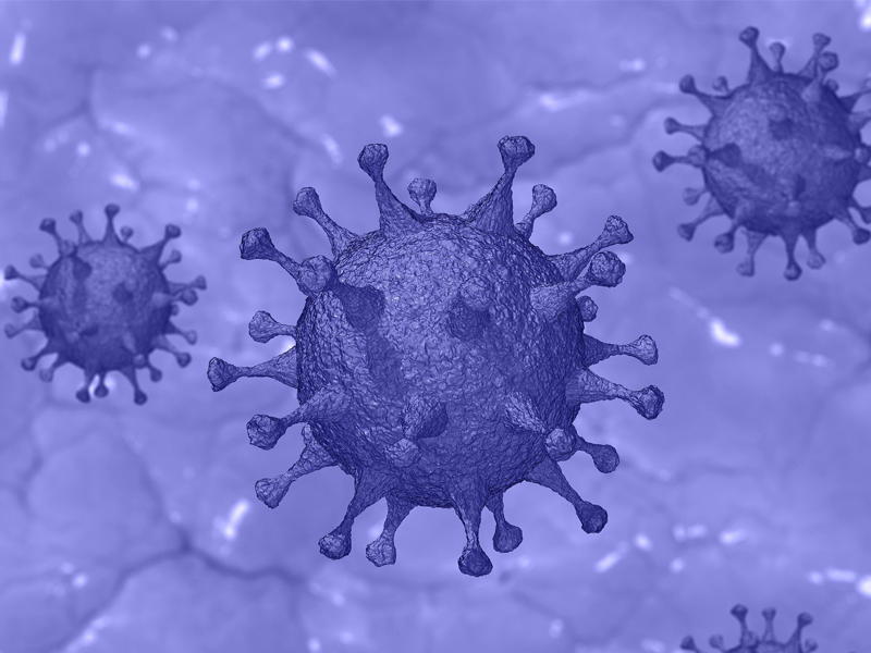 Cinco personas fallecen por COVID-19 en Cuenca en las últimas 24 horas - imagen 1