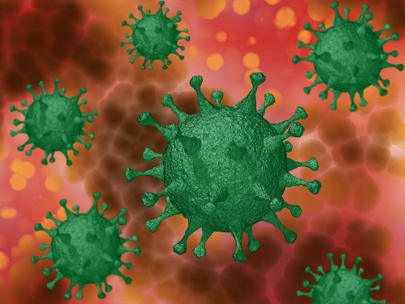 Los datos de Sanidad reflejan siete nuevas muertes por coronavirus en la provincia de Cuenca - imagen 1