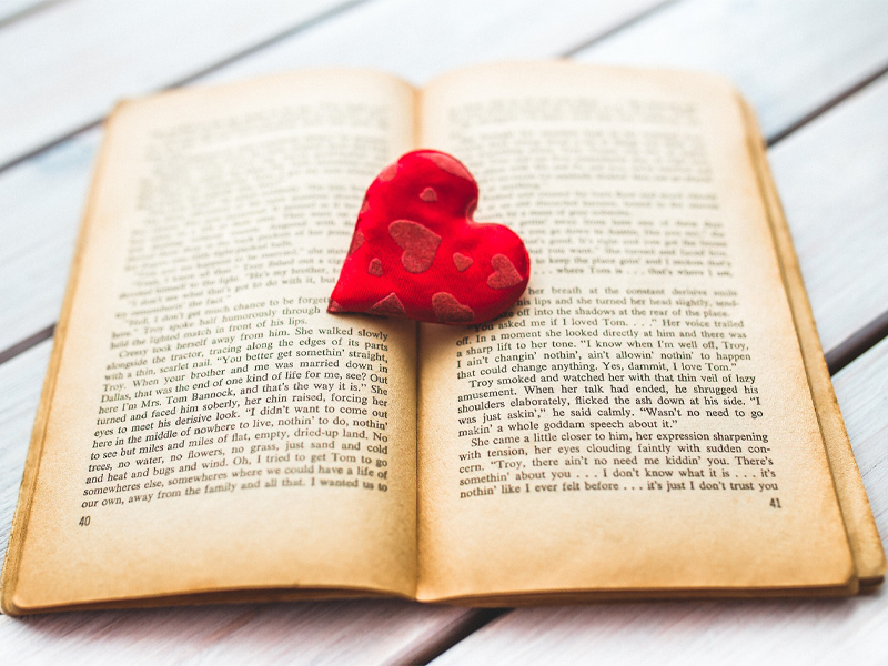 Dia del libro