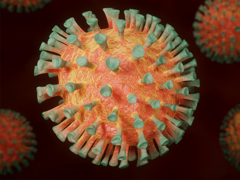 Los 13 nuevos casos registrados en Cuenca hacen un total de 1.353 - imagen 1