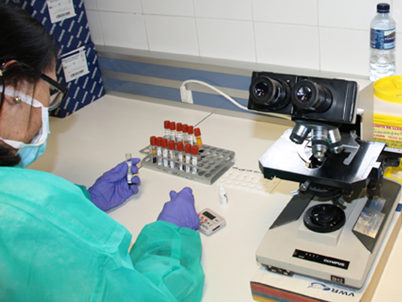 Cuenca registra 43 nuevos casos y 3 altas hospitalarias - imagen 1