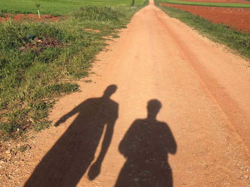 Incumplimiento y responsabilidad: las dos caras del primer fin de semana de salidas - imagen 1