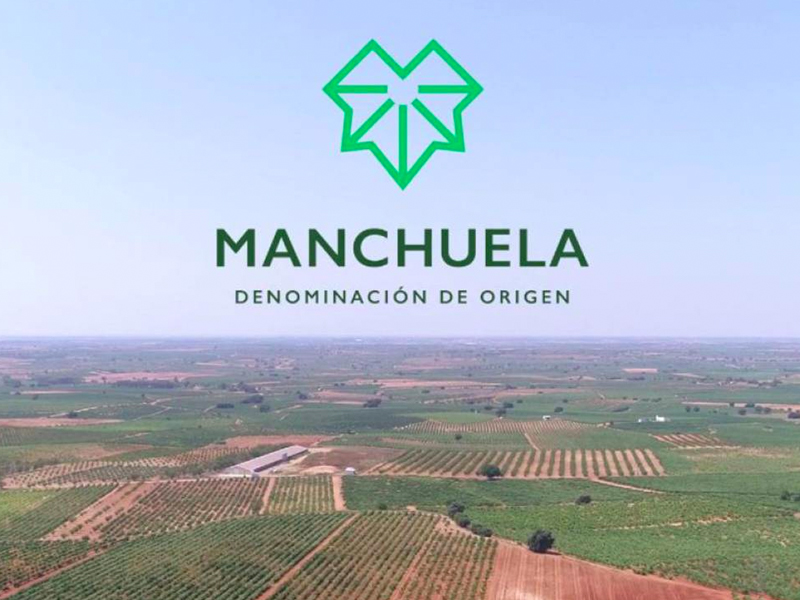 La DO Manchuela pide medidas para que la próxima campaña no genere pérdidas a los agricultores - imagen 1
