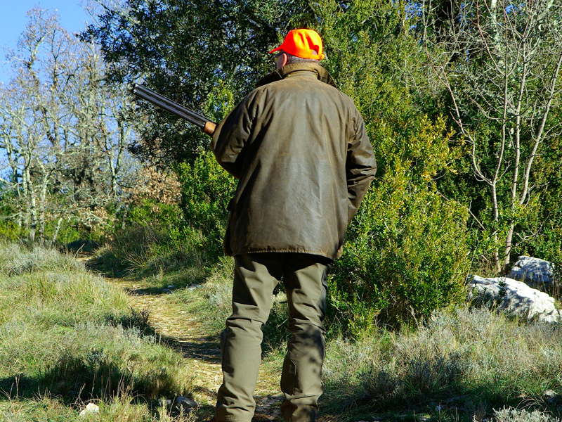 Aplazadas a 20 y 21 de julio las pruebas de aptitud para obtener la licencia de caza - imagen 1