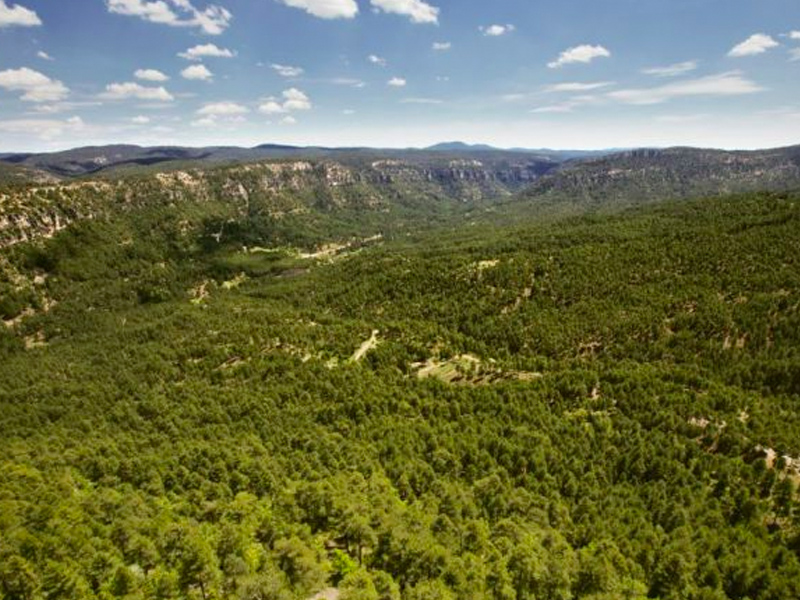 La Junta amplía la superficie del Parque Natural de la Serranía de Cuenca - imagen 1