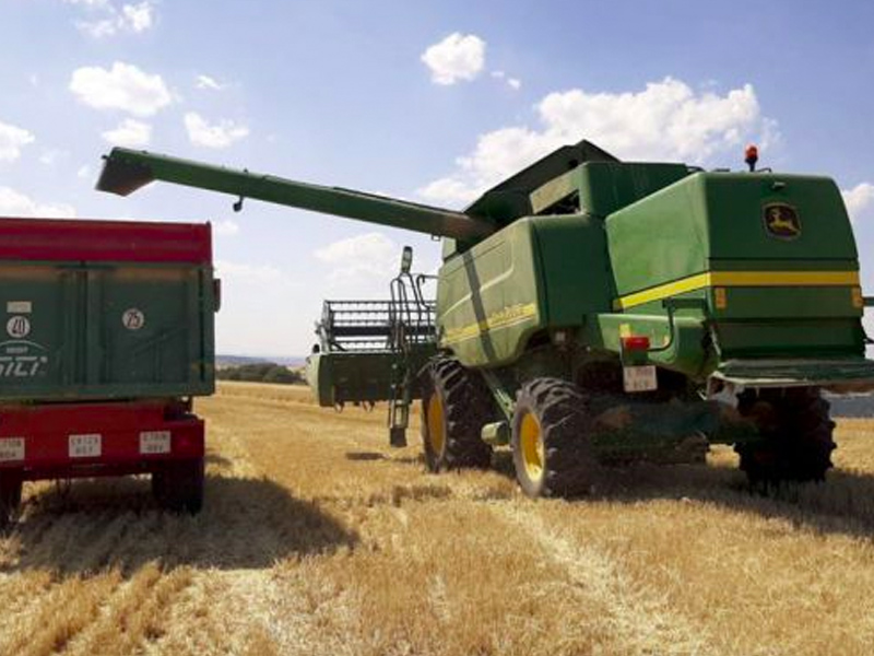 Buena cosecha de cereal, aunque a precios de hace veinte años - imagen 1