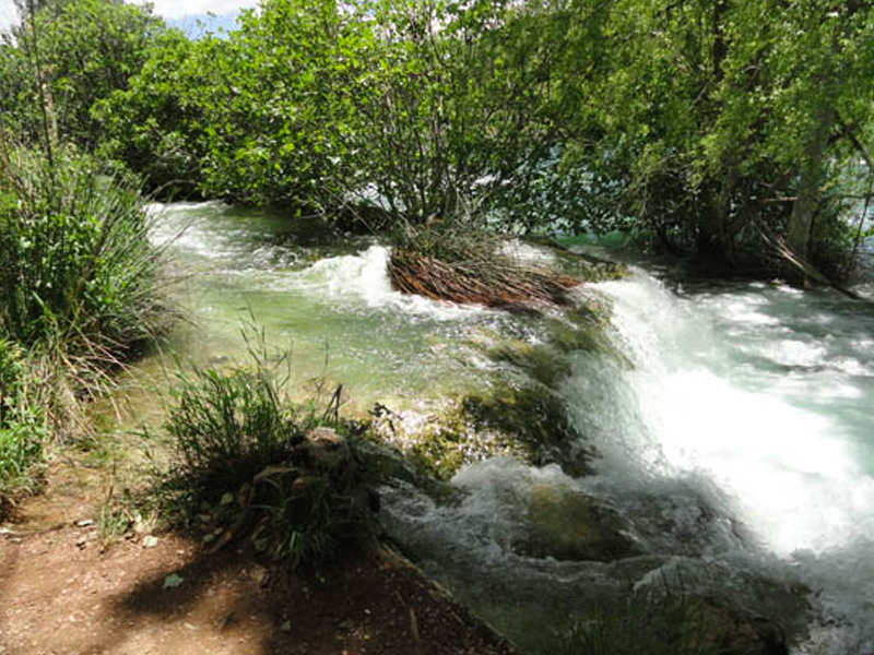 Cerradas al baño las Lagunas de Ruidera en Ossa de Montiel tras cuatro inspecciones - imagen 1