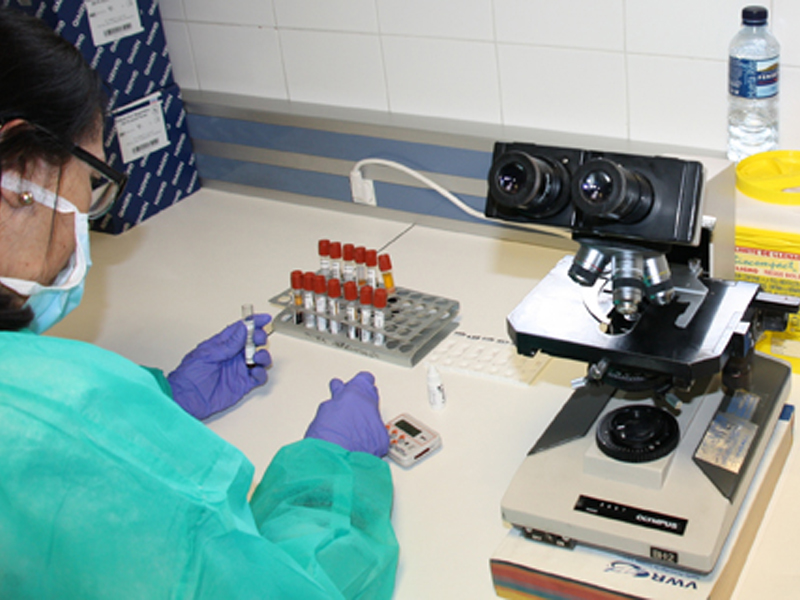 No se registran nuevos positivos en Cuenca la última jornada - imagen 1