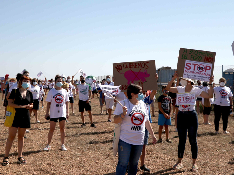 La Junta solicita la paralización de la macrogranja a Villanueva de la Jara - imagen 1