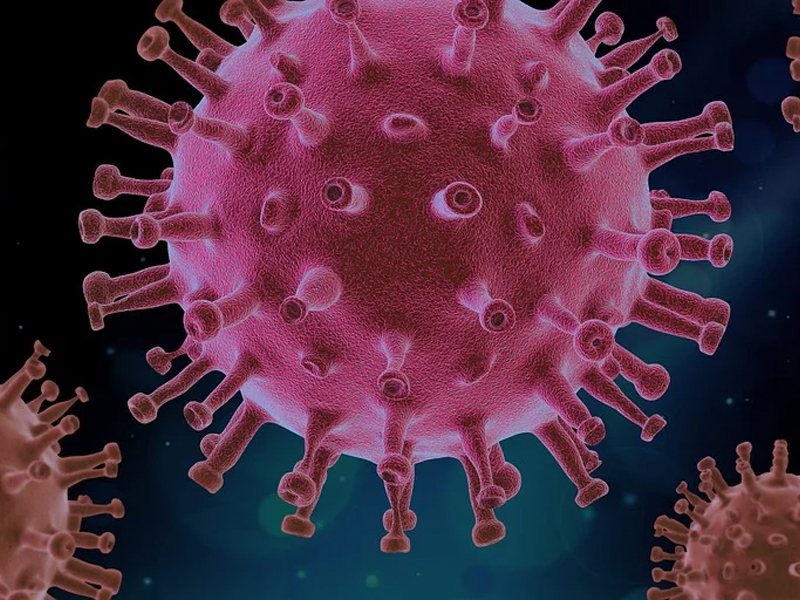 Listado: Positivos de coronavirus detectados en los municipios conquenses más poblados - imagen 1