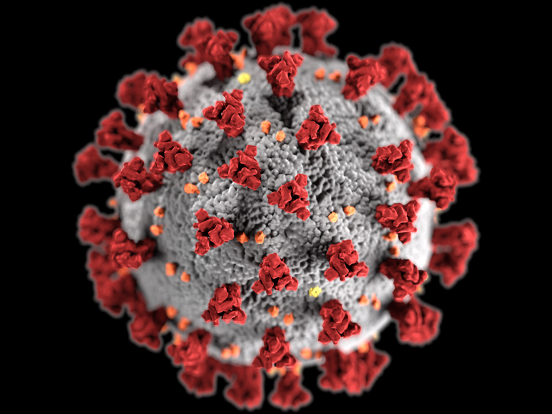 Tras un silencio de tres días sin datos, Sanidad informa de 4 muertes y 231 casos más de COVID en Cuenca - imagen 1