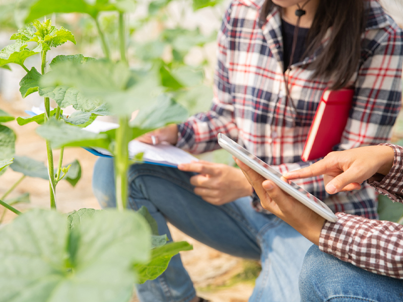 Erasmus Agrario - imagen 1