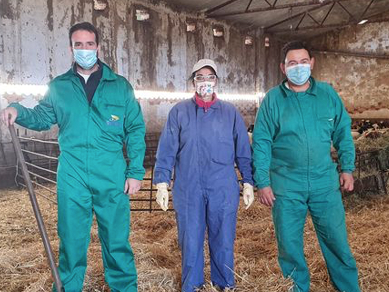 Un ganadero de Pozoamargo participa en un 'erasmus agrario' en Palencia - imagen 1