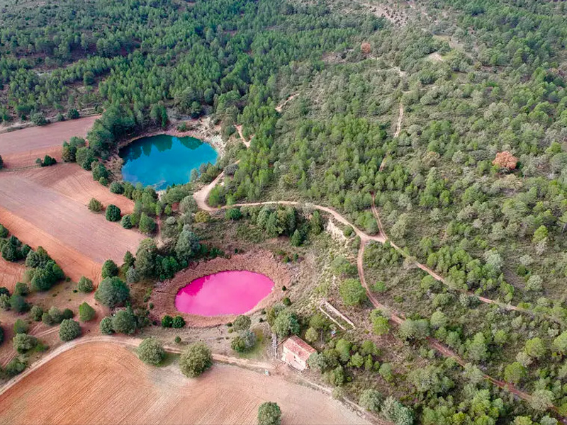 Se tiñe de nuevo de rosa la laguna de Las Tortugas de Cañada del Hoyo - imagen 1