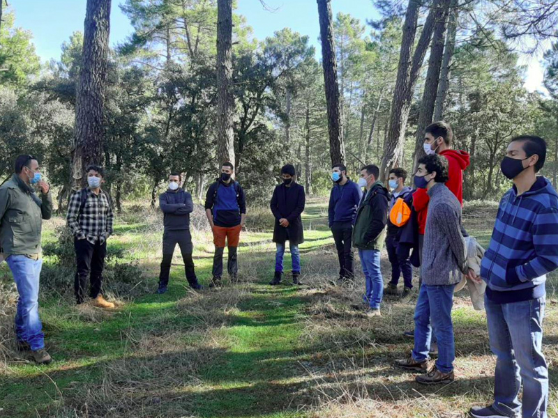 RESETAS, el proyecto que busca la repoblación aprovechando la resina y las setas - imagen 1