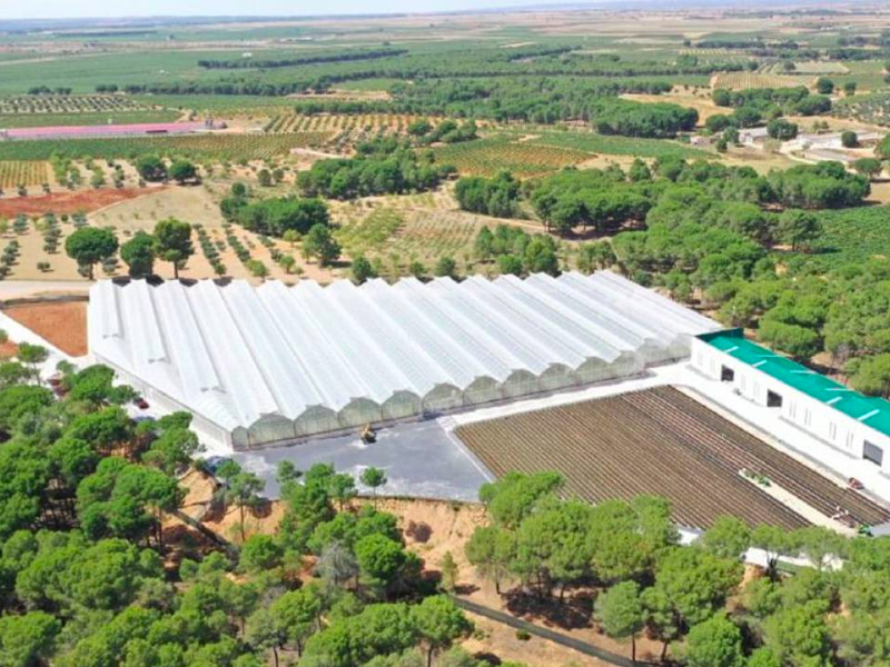 Agroptimun se asocia con una empresa estadounidense pionera en el cultivo de pistacho - imagen 1