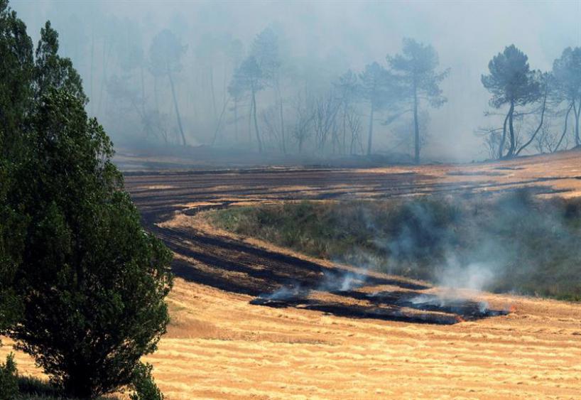 Geacam acabará de limpiar las zonas afectadas por el incendio de Barchín del Hoyo este año - imagen 1