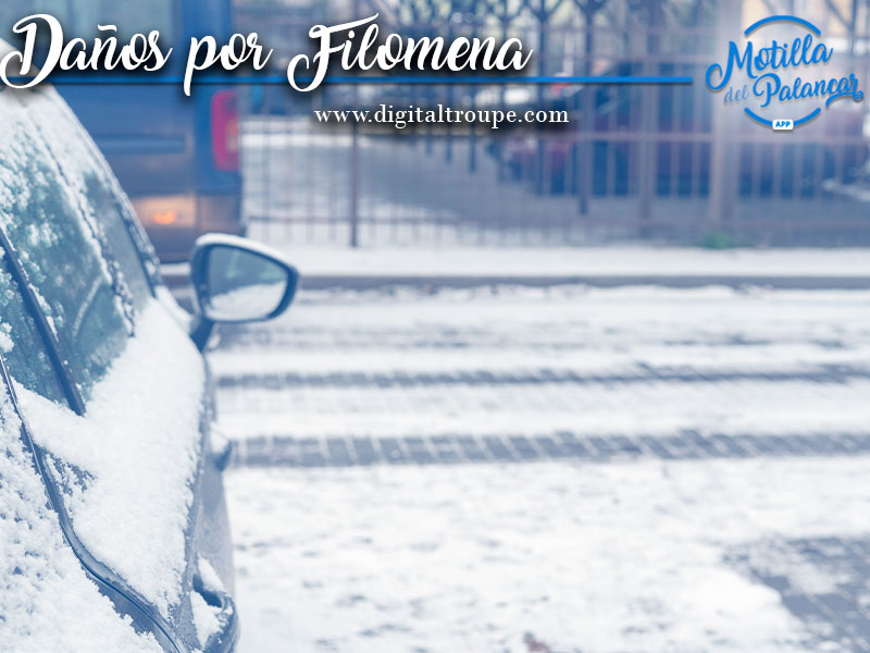 Diputación calcula en 15 millones de euros lo daños por Filomena - imagen 1