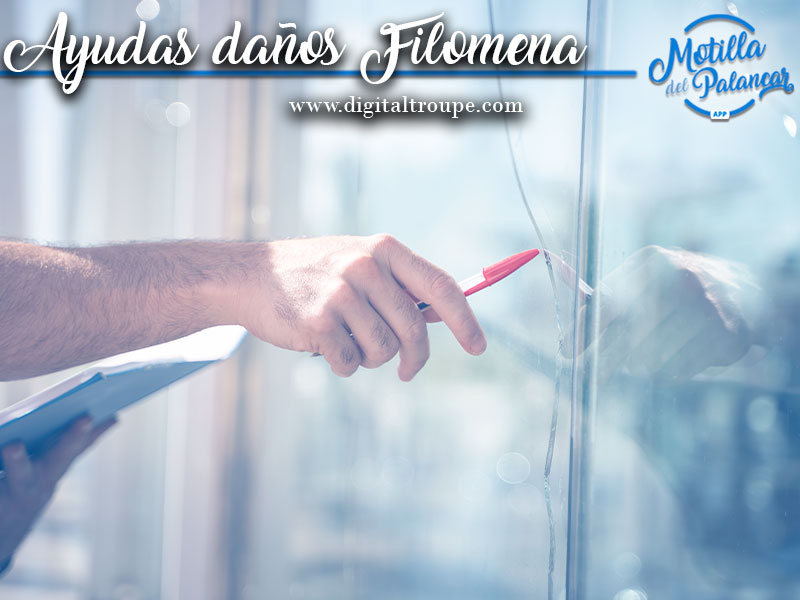 BANDO | AYUDAS BORRASCA FILOMENA - imagen 1