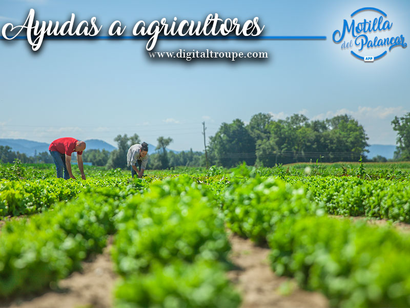  La provincia espera superar las 20.000 solicitudes de la PAC - imagen 1