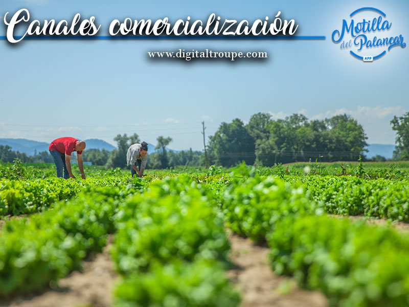 Publicada la convocatoria de canales cortos de comercialización - imagen 1