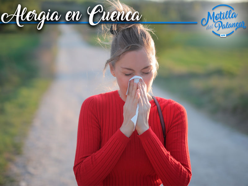 Riesgo medio-bajo de alergias en Cuenca - imagen 1