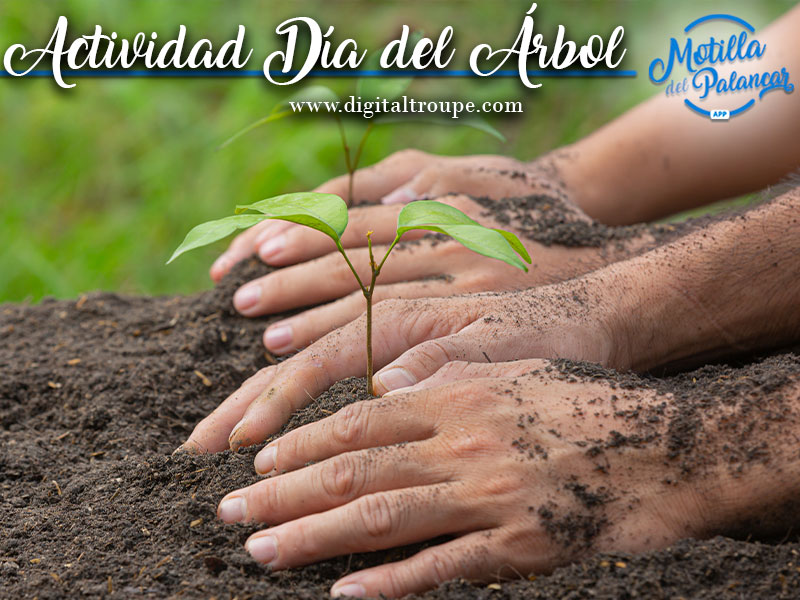 Cancelada la actividad del Día del Árbol - imagen 1