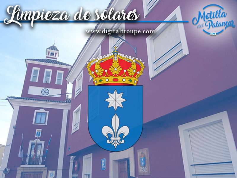 Bando | Limpieza de parcelas y solares - imagen 1