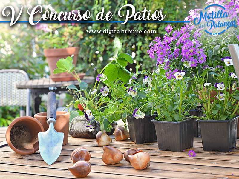 V Concursos de Patios Motilla del Palancar - imagen 1