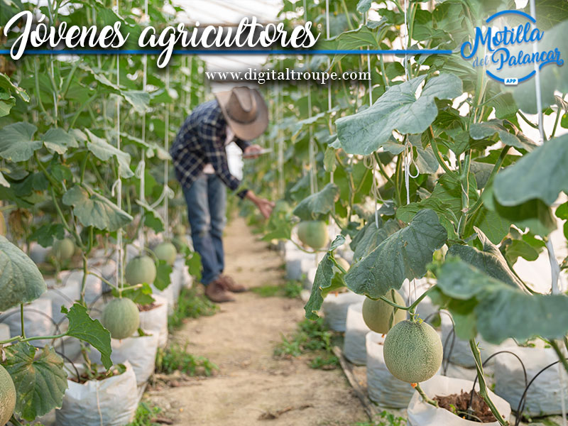 Inversiones Gobierno regional a jóvenes agricultores - imagen 1